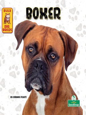 cover image of Boxer